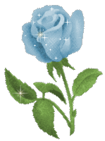 rose bleu